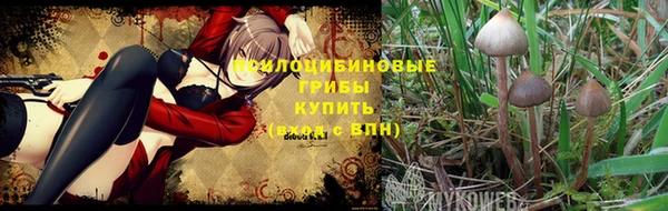 скорость Заволжск